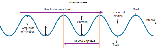 transverse-wave
