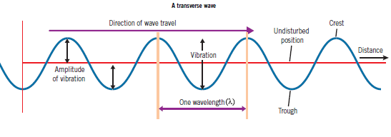 GCSE Physics Wave Speed (v=fλ) Questions and Answers