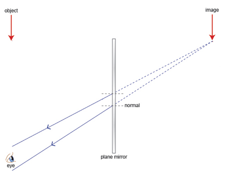 Mirror ray diagram worksheet