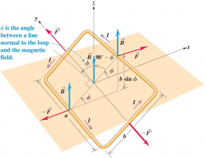 current loop in magnetic field