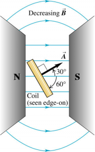 coil and magneic field